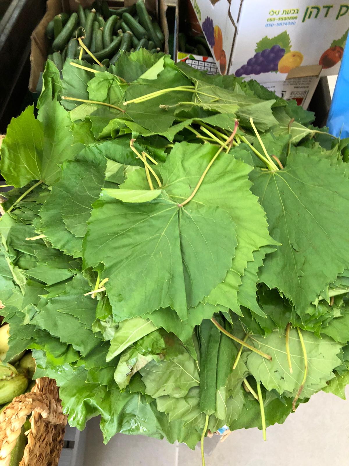 WhatsApp Image 2020-07-29 at 11.16.49 AM.jpeg.jpeg